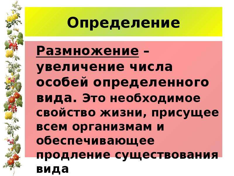 Презентация по биологии на тему размножение