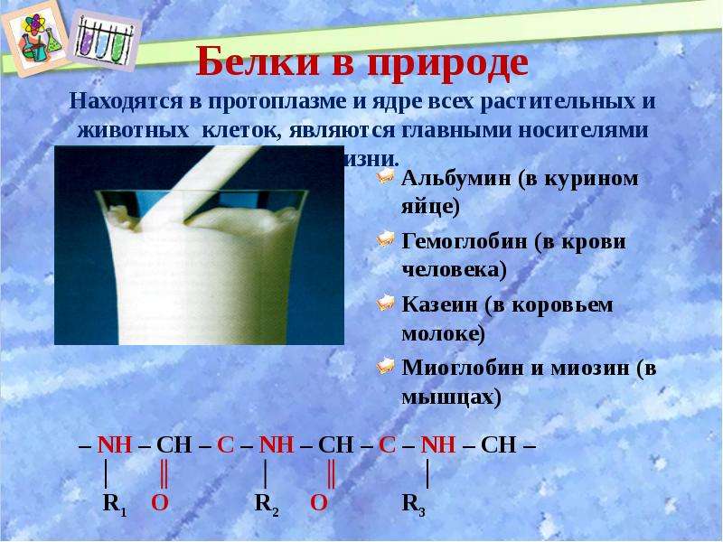 Презентация на тему белки и их структура