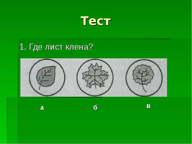 Где лист. IQ тест кленовый лист. Где лист а где страница. Тест б21. Лист а1.