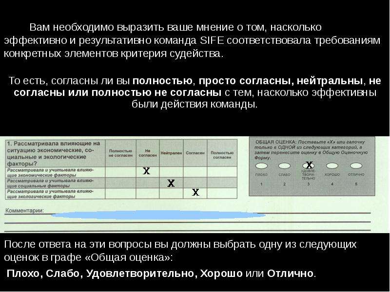 Критерии команды. Критерии судейства. Элементы результативной команды. Критерии профессионального судейства Pro ландшафт. Насколько по вашему мнению ваши действия соответствуют требования.