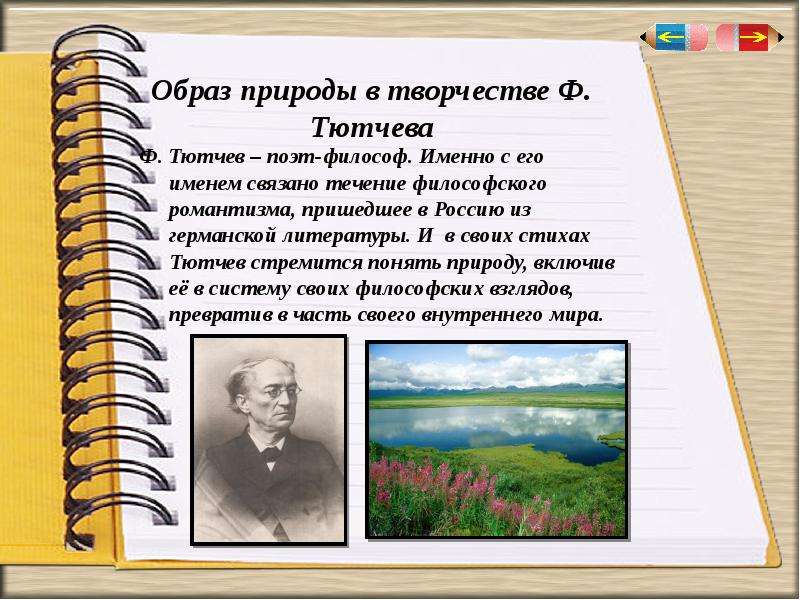 Человек и природа в лирике. Образы природы в литературе. Мир природы в лирике Тютчева. Человек и природа в лирике Тютчева. Человек и природа в стихотворениях Тютчева.