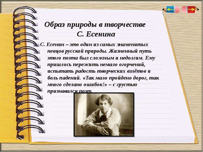 Образ природы в русской литературе. Образы, тема,поэт-это что в литературе.