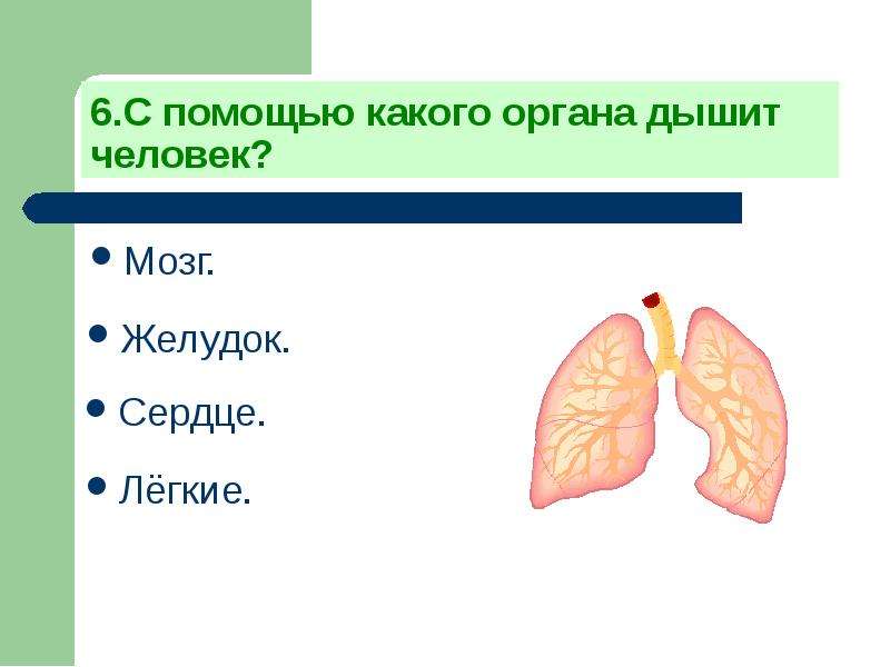 Тест 3 класс презентация