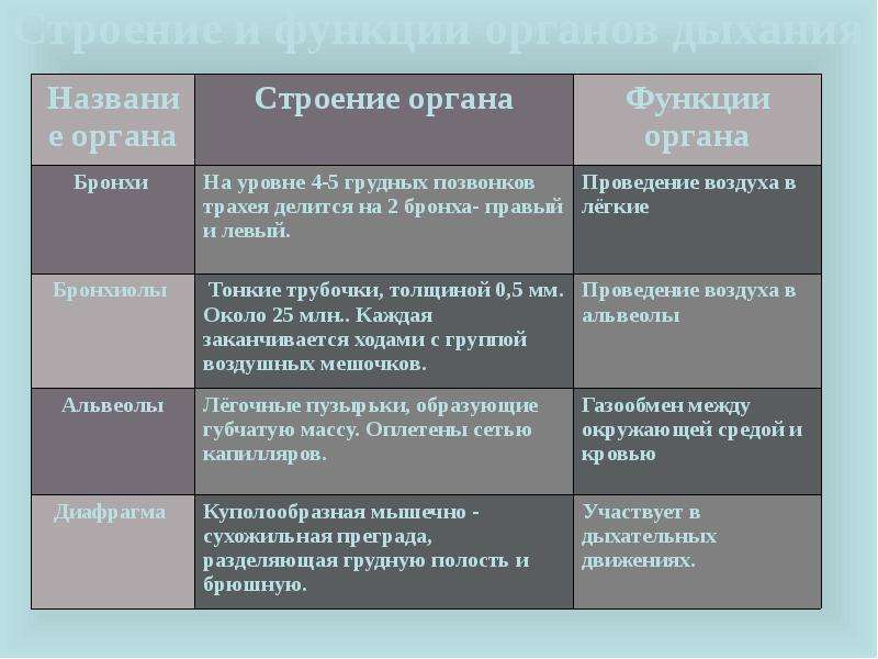 Функции органов. Таблица строение и функции системы органов дыхания. Строение и функции дыхательной системы таблица. Строение и функции органов дыхания таблица. Органы дыхания особенности строения и функции таблица.