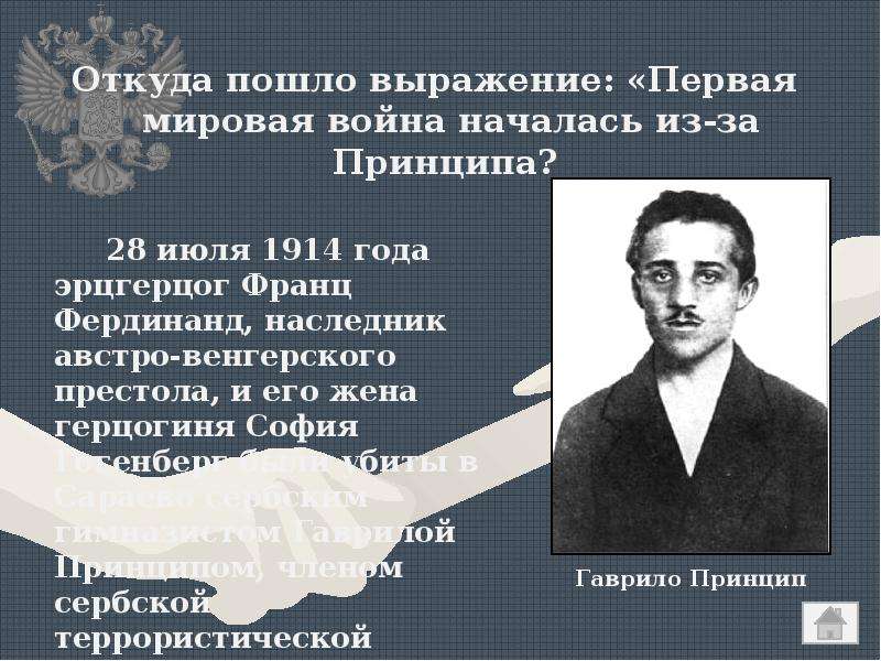 Откуда пошел новый. Цитаты о первой мировой войне. Высказывания о первой мировой войне. Из-за чего началась первая мировая война. Первая мировая война началась из за принципа.