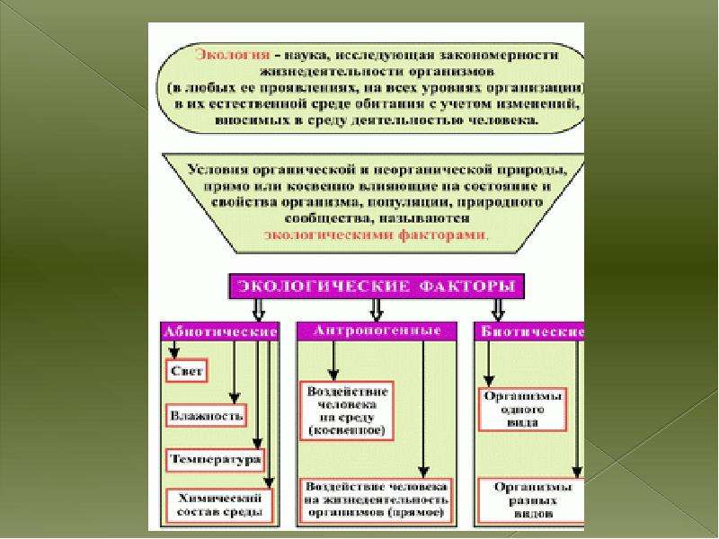 Экология экологические факторы презентация 11 класс