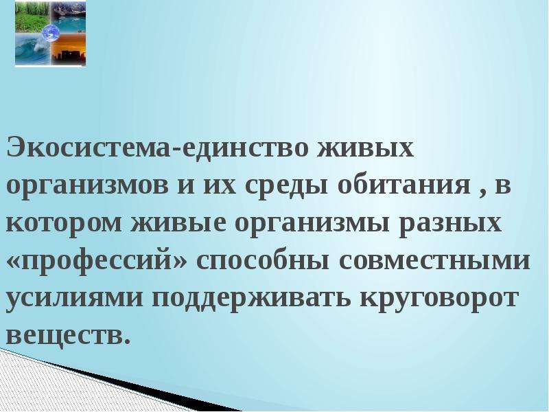 Единство живого вещества. Экосистема это единство живых организмов. Профессии живых организмов. Единство живых организмов актуальность. Эссе единство живого.