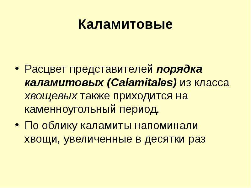 Представители порядков. КАЛАМИТОВЫЕ. КАЛАМИТОВЫЕ представители. КАЛАМИТОВЫЕ доклад.