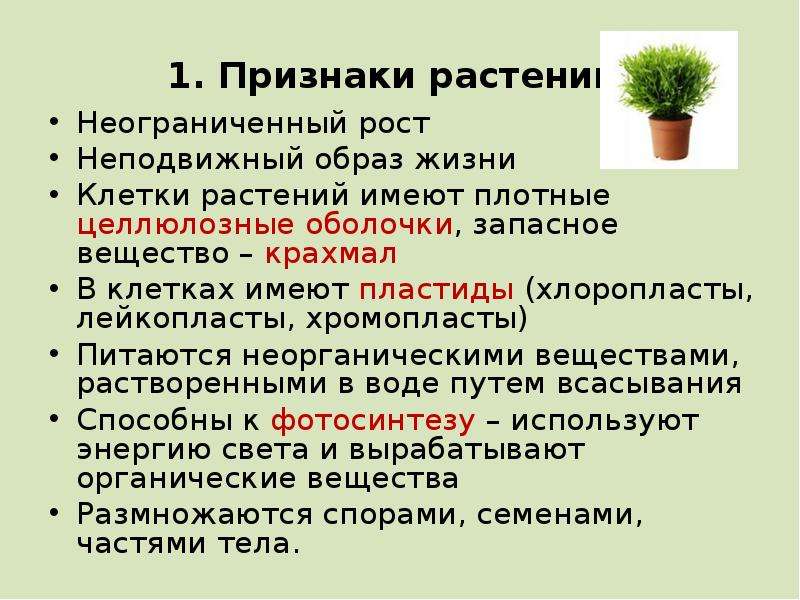 5 основных признаков растений. Общие признаки царства растений. Признаки растений 6 класс. Основные признаки царства растений. Признаки растений 5 класс.