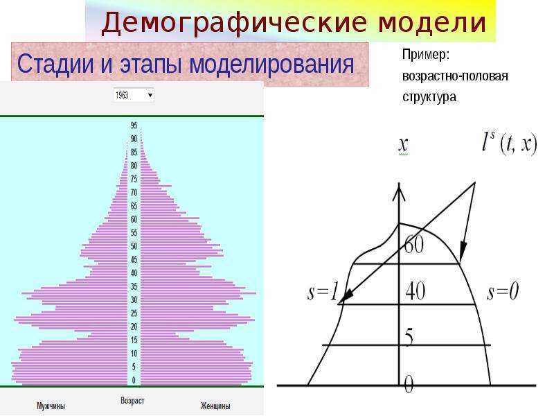 Демографические группы. Демографические модели. Модели демографических процессов. Демографическое моделирование. Демография схема.