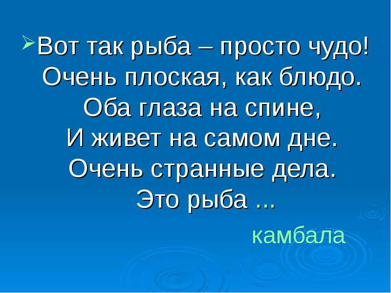 Вот такая рыба просто чудо очень плоская как блюдо