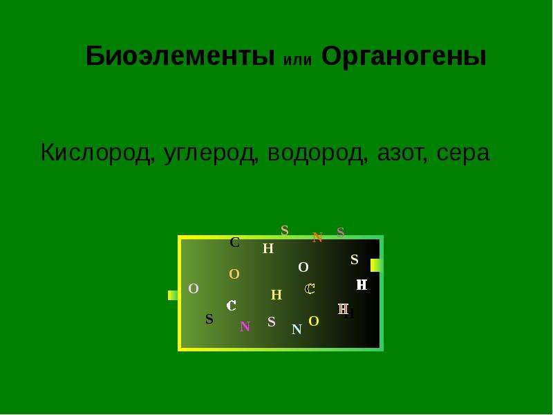 Органогены. Углерод и кислород. Углерод и водород. Биоэлемент это. Биоэлементы органогены.