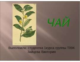 Презентация Чай
