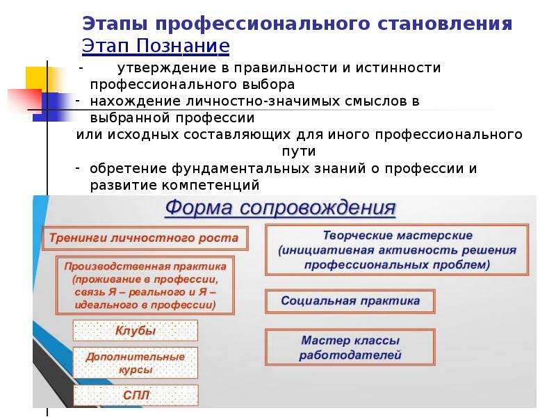 Концепция профессионального становления. Этапы профессионального становления. Этапы профессионального становления личности. Стадии профессионального развития. Этапы профессионального становления студента.