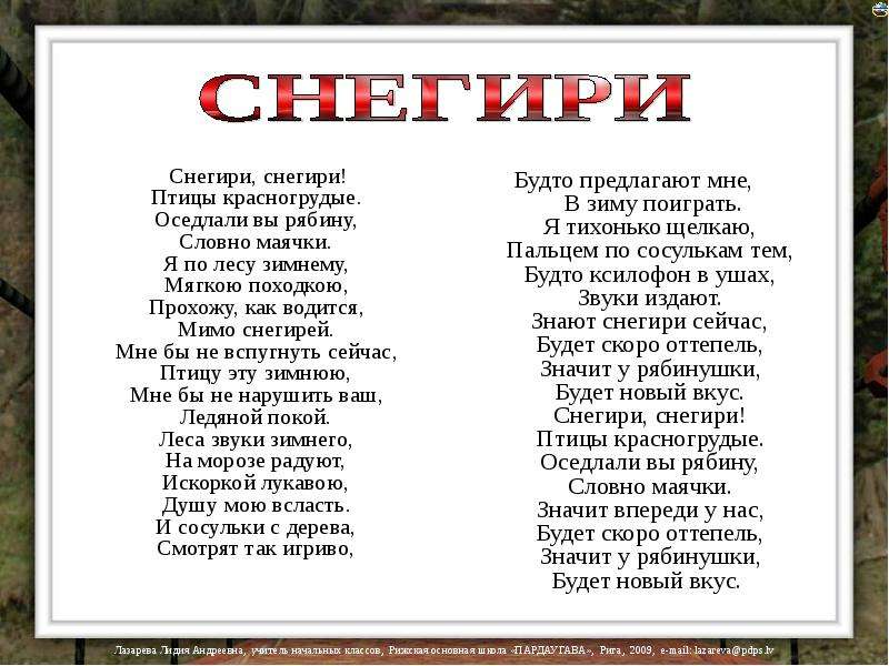 За окошком снегири греют текст. Снегири Иванушки текст. Текст песни Снегири Трофим. Слова песни Снегири Трофим. Снегири песня Трофим текст.