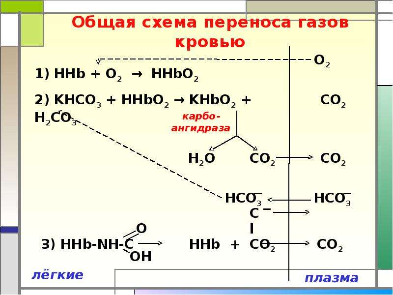 Перенос углекислый. Перенос газов кровью схема. Перенос кислорода кровью схема. Общая схема переноса газов кровью. Формы переноса газов кровью..
