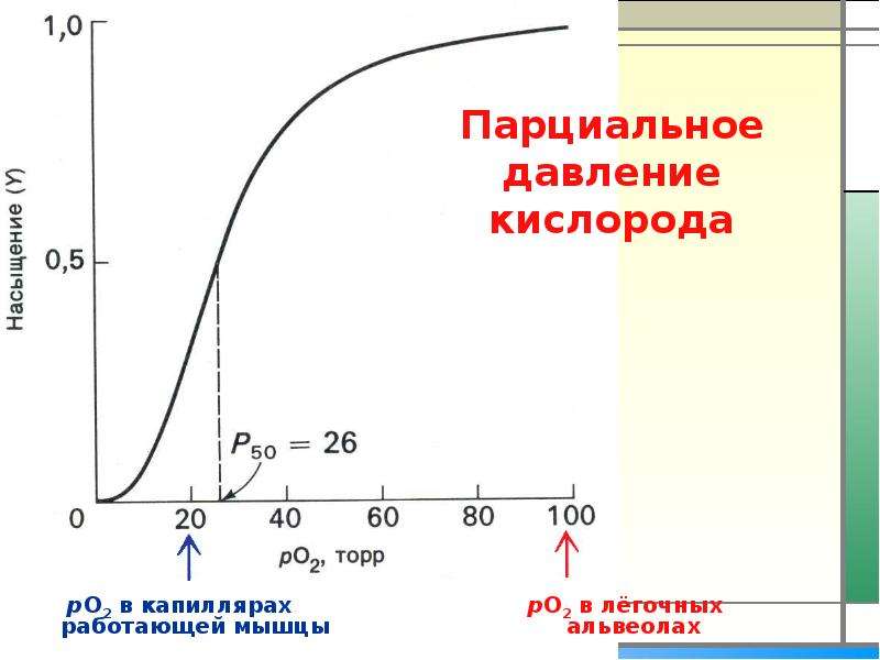 Парциальное давление это. Парциальное давление. Парцианальное давление. Порционлаьное давление. Парциальное давление co2.