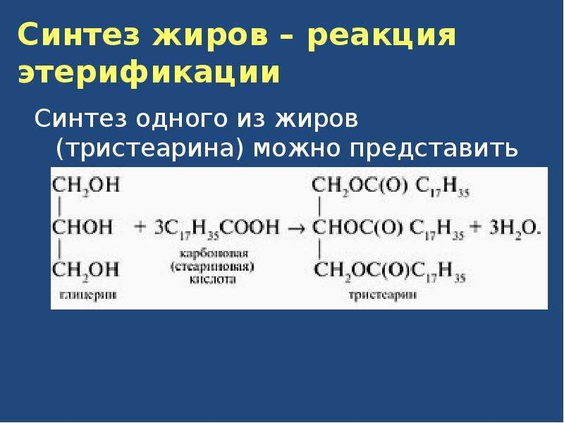 Синтез жиров. Синтез жира реакции. Жиры реакция этерификации. Продукты гидролиза тристеарина.