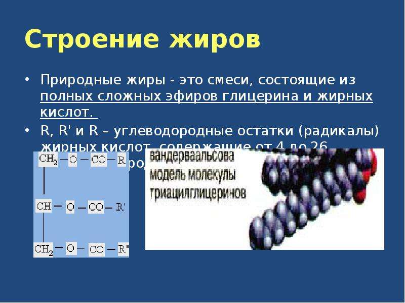 Строение жиров картинка