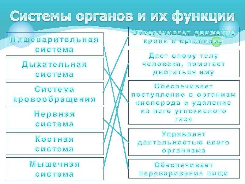 Краткое руководство по тому как устроен мир