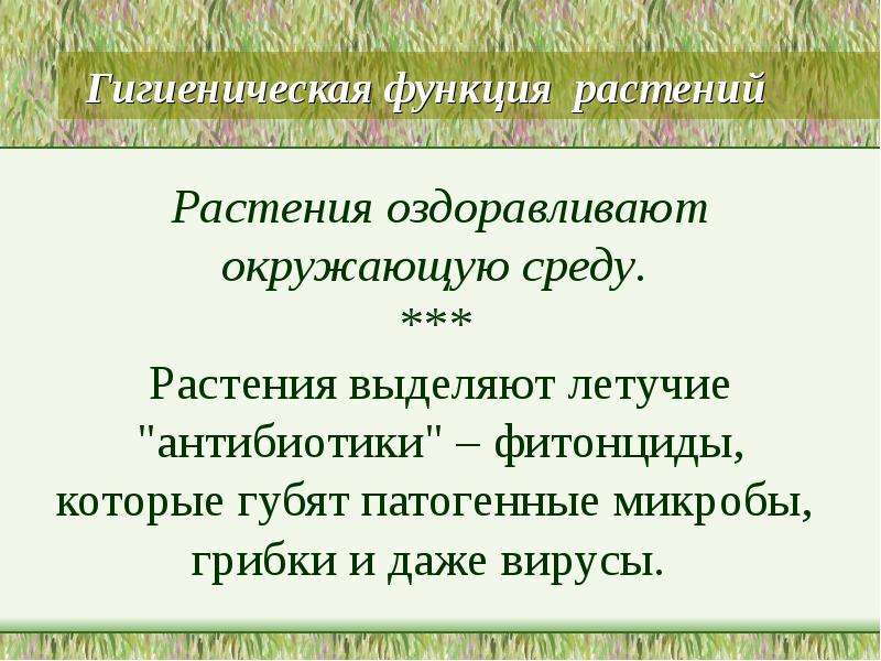 Функции растений. Все функции растений. Функции растений в природе. Функции растительного мира.