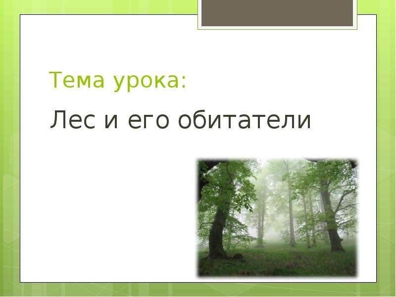 Тест по окружающему миру лес и человек