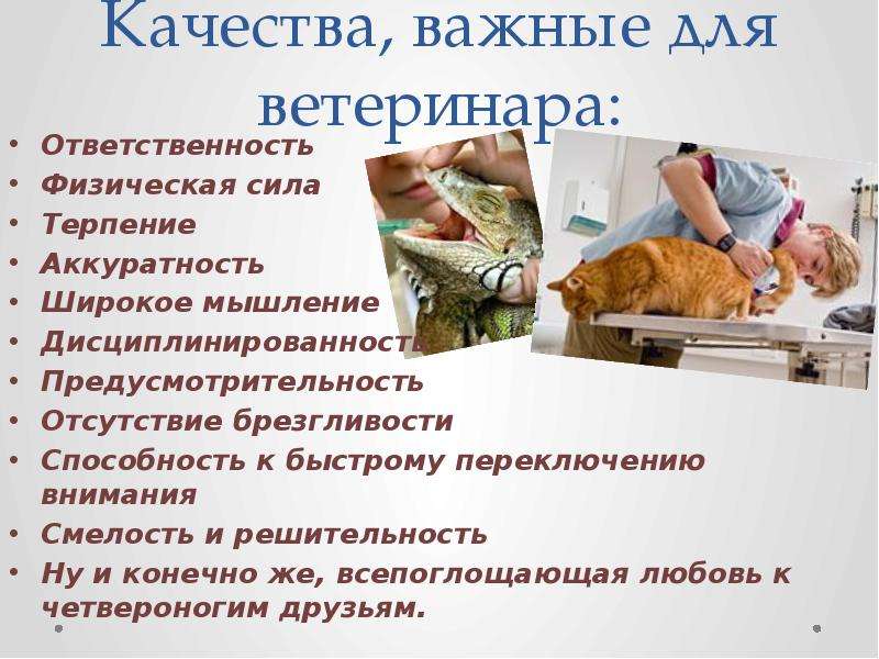 Ветеринар презентация 9 класс