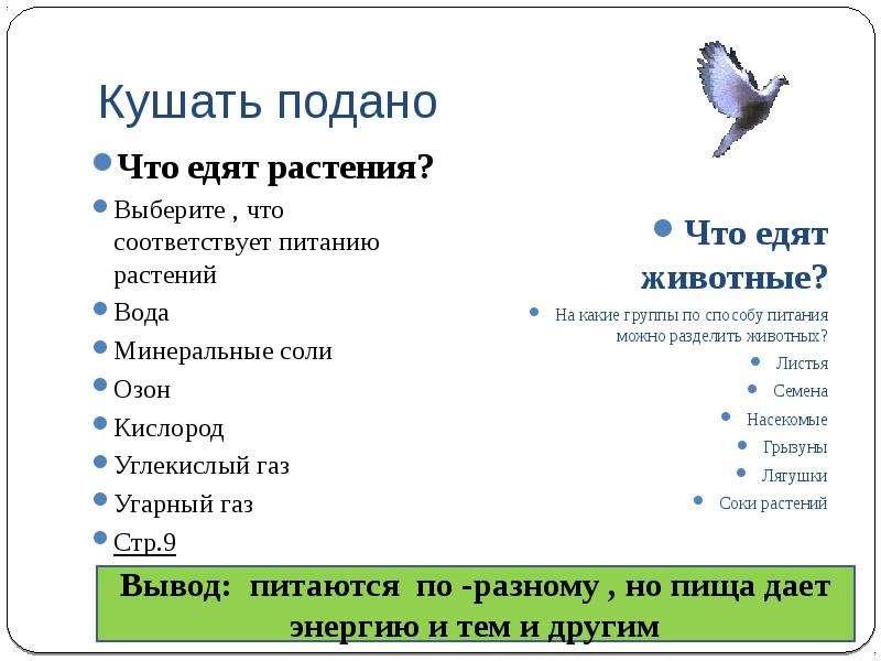 Свойства животных организмов. Свойства животного организма. Какими свойствами обладает животные организмы. Какие свойства животного организма существуют. Свойства животного организма 3 класс 150.