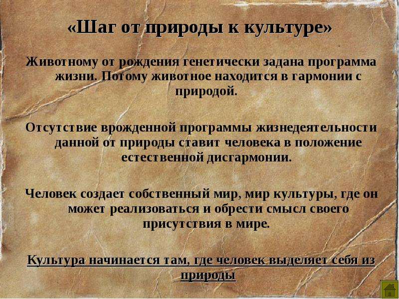 Феномен культуры статья. Феномен культуры. Феномен культуры план. Феномены культуры примеры.