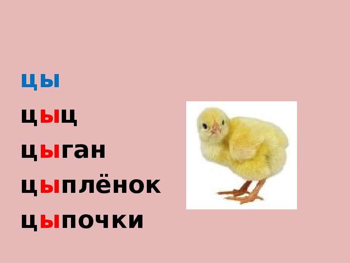 Как пишется цыпленок по английски. Цыган цыпленок цыц. Цыган на цыпочках цыпленку. Цыц на цыпочках цыпленок. Цыц цыпленок исключения.