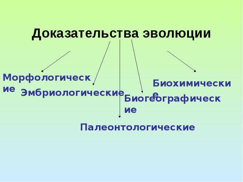 Доказательства эволюции картинки