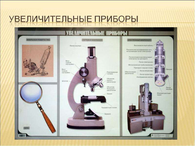 Презентация увеличительные приборы