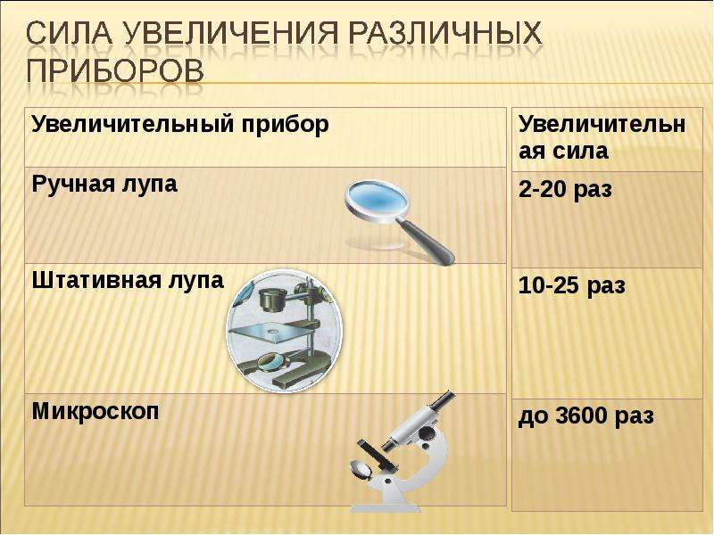 Лабораторная работа приспособление. Увеличительные приборы 5 класс биология лупа. Увеличительные приборы 5 класс биология микроскоп. Биология 5 кл. Увеличительные приборы. Изучение устройства увеличительных приборов.