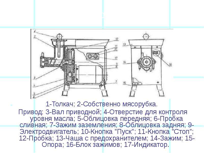 Рассмотрите схему мясорубки обозначьте названия деталей