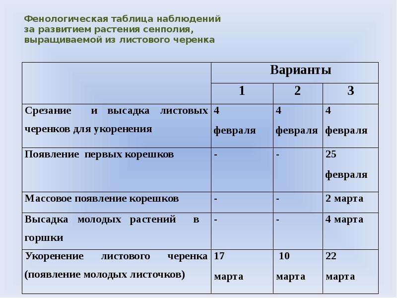 Лабораторная работа 5 класс наблюдение за. Таблица наблюдений. Фенологические наблюдения таблица. Таблица наблюдений за растениями. Фенологическое наблюдение за растениями таблица.