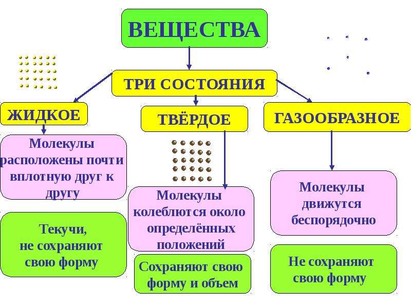 Поурочный план естествознание 5 класс