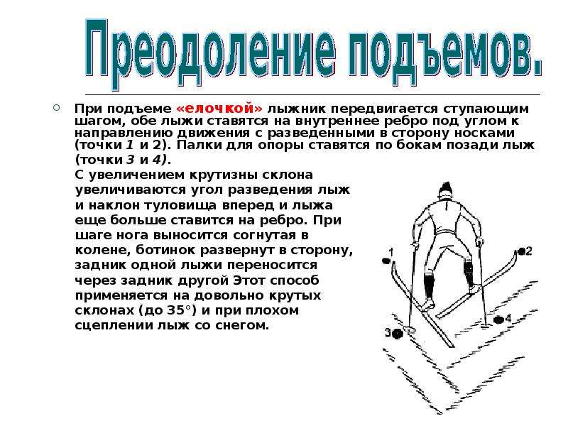 Проект по физкультуре на тему лыжная подготовка