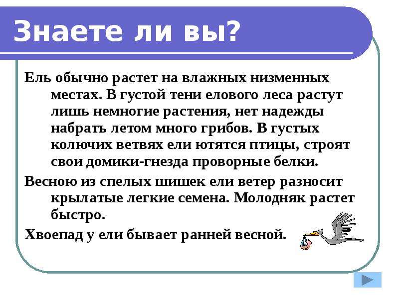 Росла обычная. Ель растет на влажных местах в густой тени. В густой тени елового леса растут лишь немногие растения. Текст ель растет на влажных местах в густой. Диктант ель обычно растёт на влажных местах.