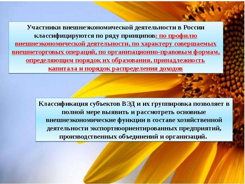 Участники вэд. Понятие внешнеэкономической деятельности. ВЭД предприятия. Субъекты внешнеторговой деятельности. Внешнеэкономическая деятельность организации.