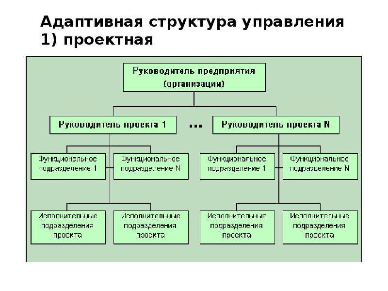 Адаптивное управление это. Адаптивная организационная структура схема. Адаптивные организационные структуры проектная. Адаптивные организационные структуры управления матричная. Схема адаптивной организационной структуры управления.