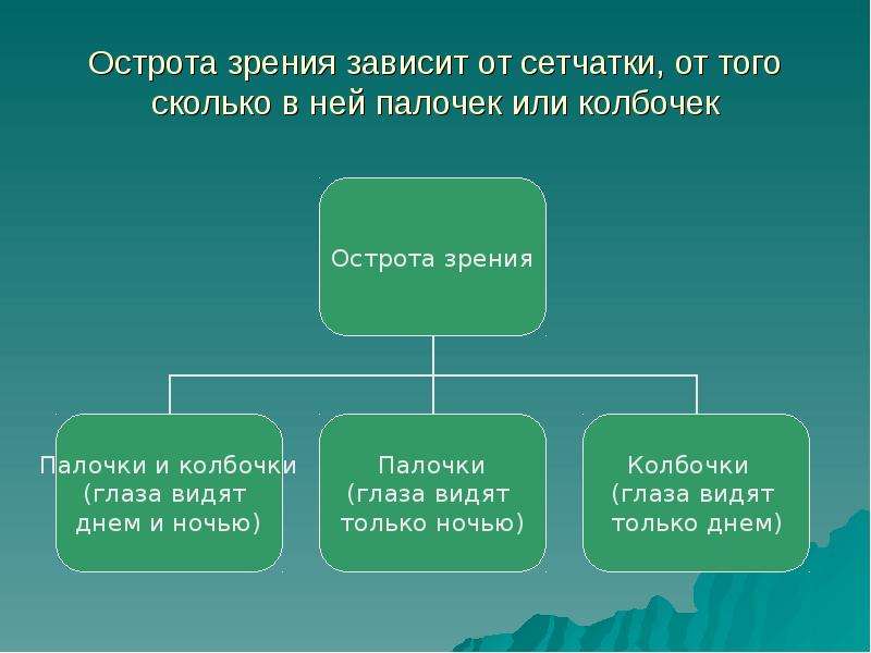 От чего зависит зрение. Острота зрения зависит от. Острота зрения презентация. Острота зрения зависит от следующих факторов.