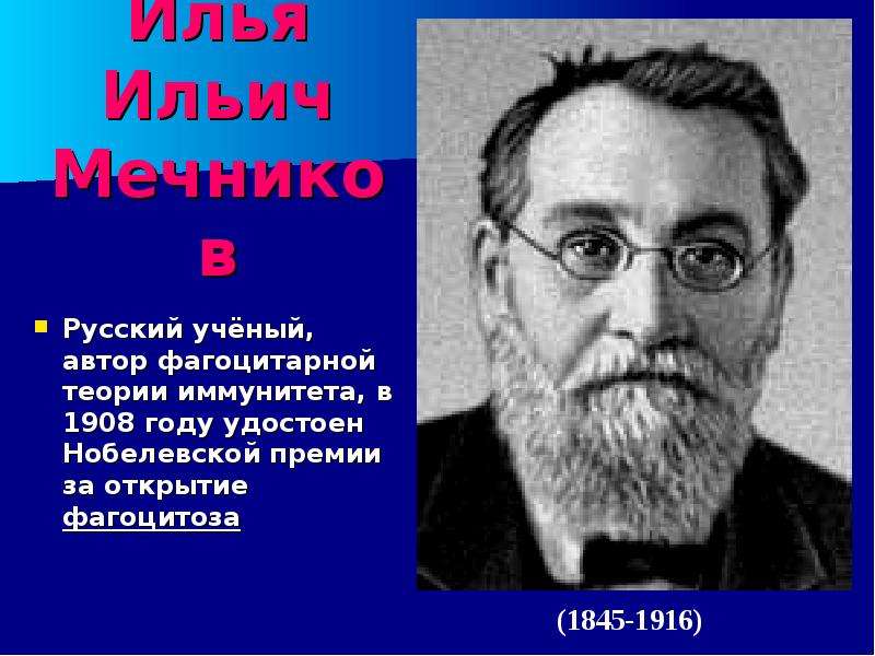 Мечников создал учение о фагоцитарном иммунитете. Автор фагоцитарной теории.