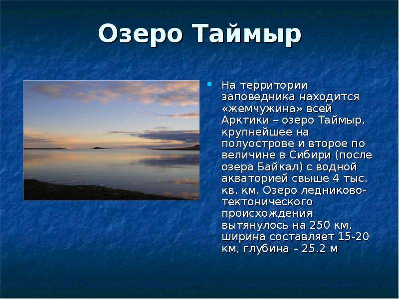 Случилось это весной на таймыре основная мысль. Таймырский заповедник озеро Таймыр. Озеро Таймыр описание. Озеро Таймыр доклад. Озеро Таймыр интересные факты.