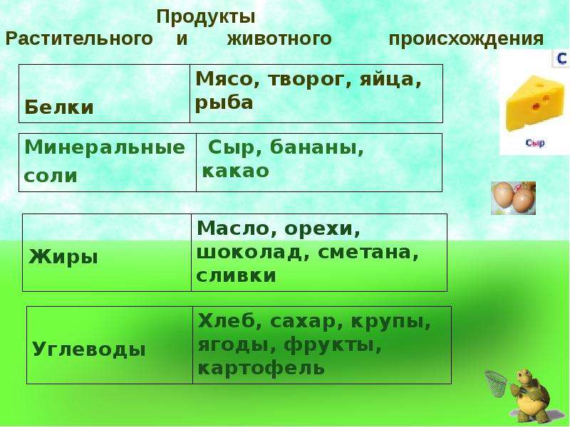 Растительное и животное происхождение 2 класс