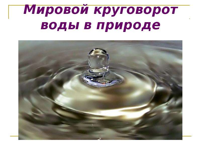 Вода ты сама жизнь проект