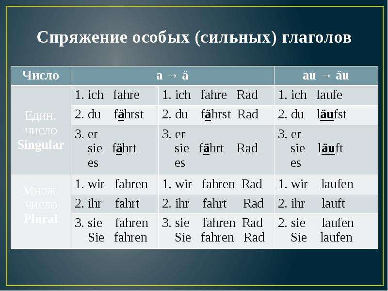 В приводимых ниже предложениях все глаголы спрягаются по образцу глаголов sprechen и fahren