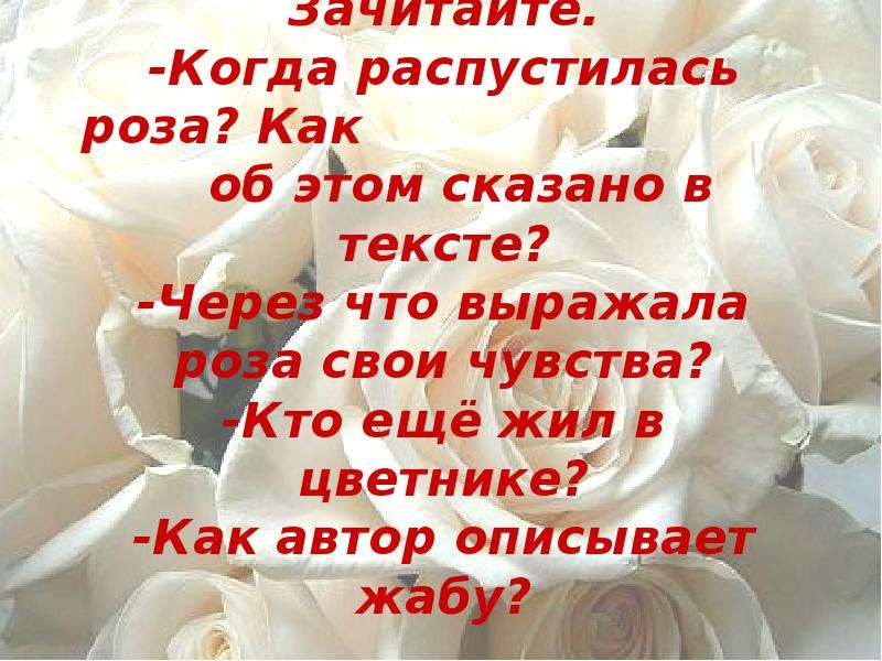 Характеристика жабы и розы. Вопросы по сказке о жабе и Розе. Сказка о жабе и Розе план. Гаршин жаба и роза презентация. Сказка о жабе и Розе 4 класс презентация.