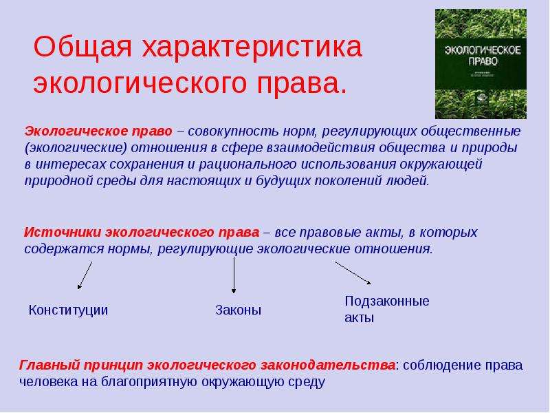 Презентация экологическое право 10 класс обществознание боголюбов фгос