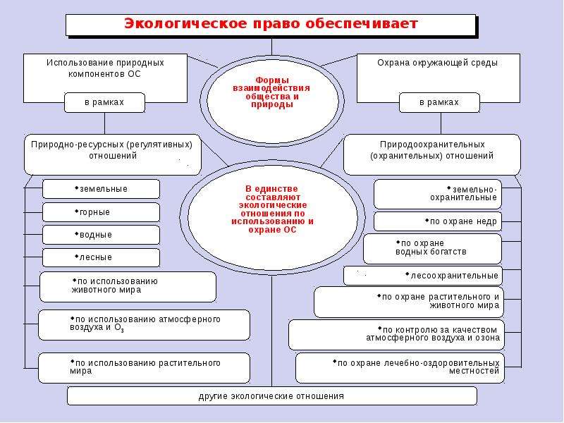 План по экологическому праву егэ обществознание