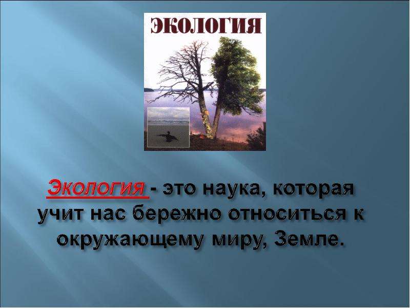 Что такое экология презентация 3 класс плешаков школа россии